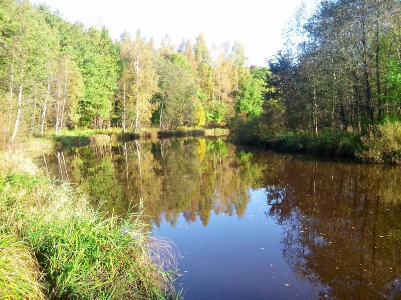 Осенние фотографии рядом с речкой