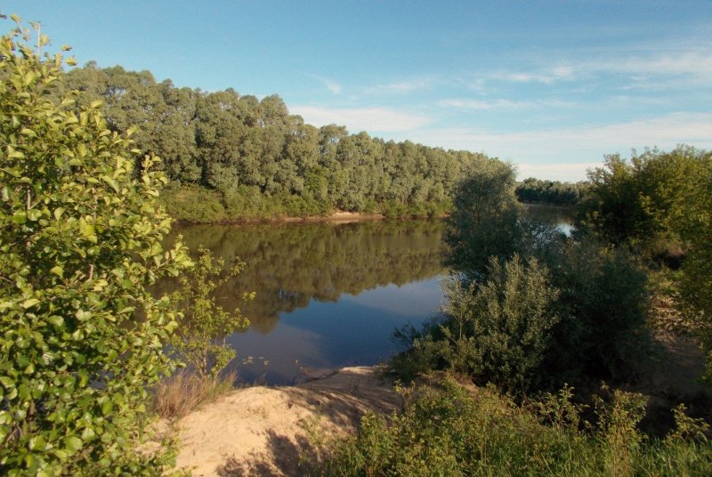 Река Мокша Рязанская область