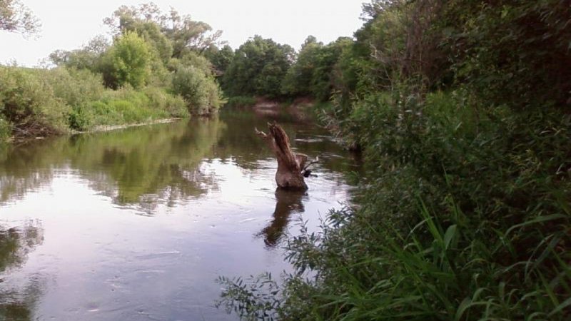 Река Мокша Пензенская область рыбалка