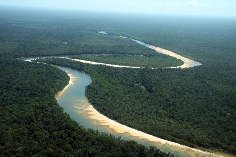 Бразилия Амазонская Сельва