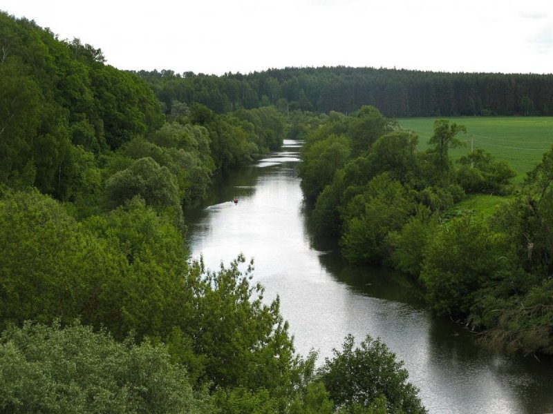 Река осётр Хрусловка