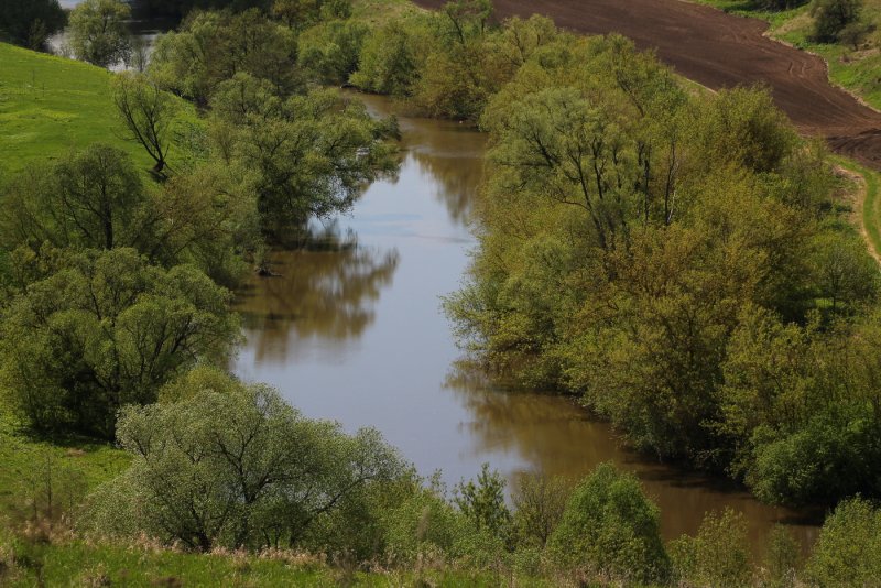 Река осетр Рязанская область
