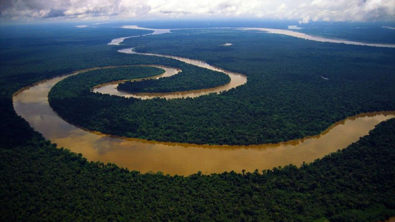 Бразилия Амазонская низменность