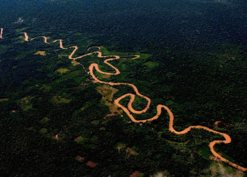 Берега реки амазонки