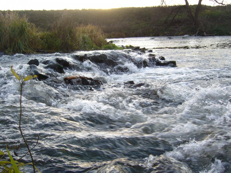 Ильясовский порог на реке осётр