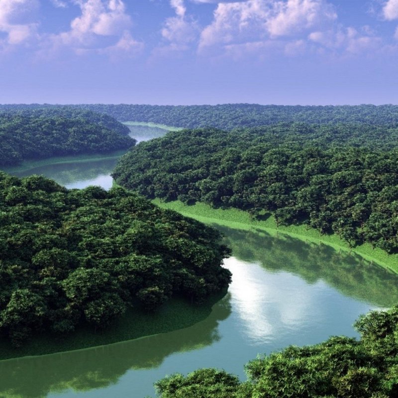 Национальный парк Бразилии Амазония