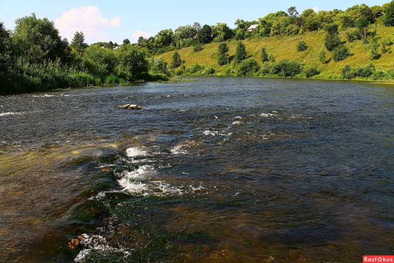 Река осётр Тульская