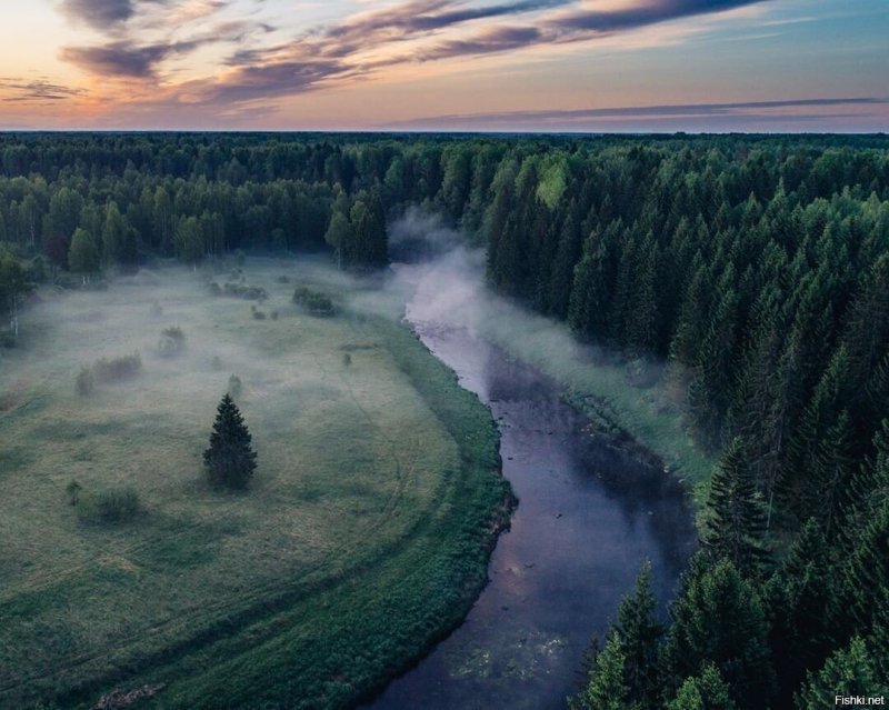 Река Созь Тверской области