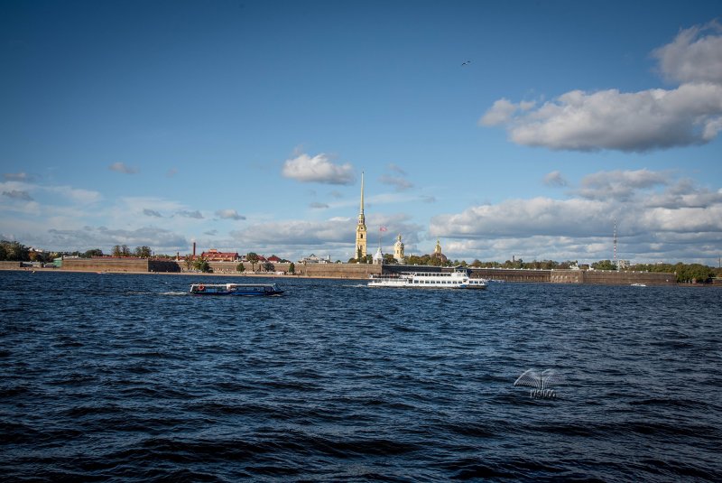 Река Нева в Санкт-Петербурге вид на Петропавловку