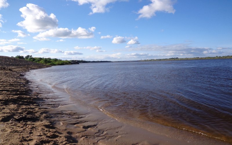 Волга река пляж