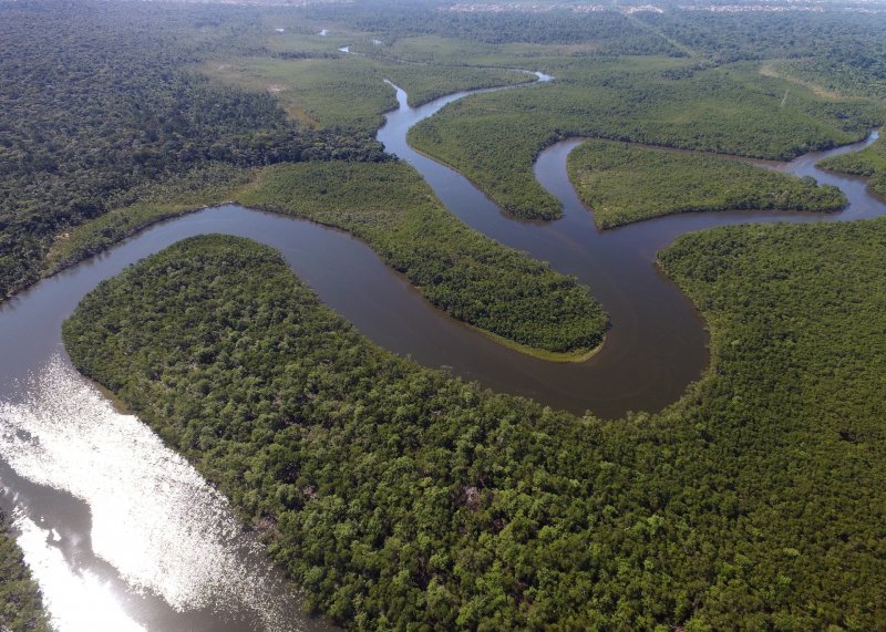 Африка река Амазонка