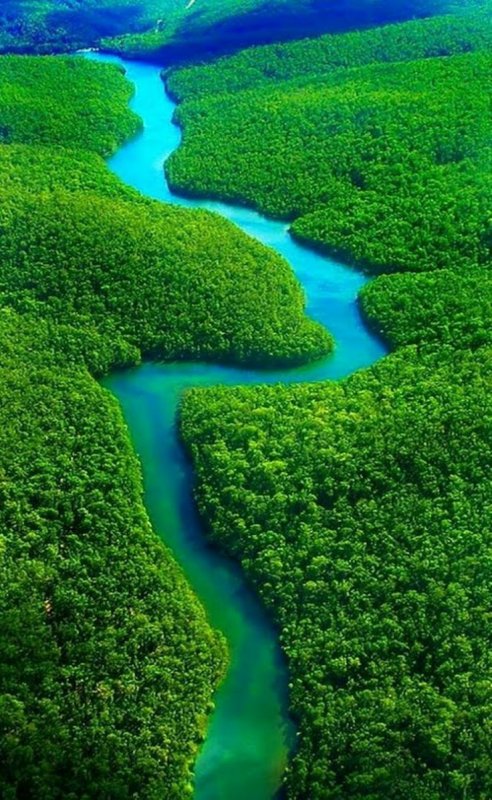 Бразилия Амазонка
