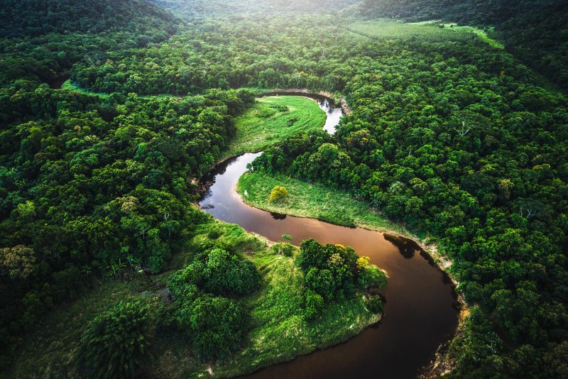 Сельва амазонки Бразилия