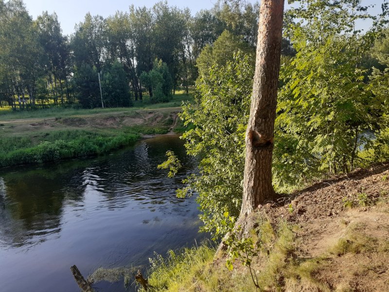 Река Кременка Гатчинский район