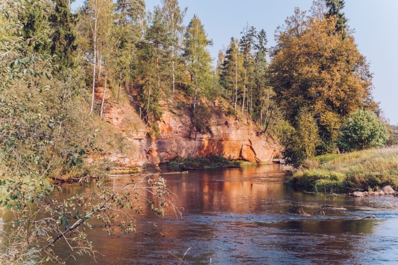 Река Оредеж Ленинградская