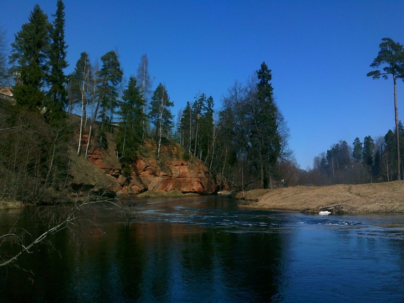 Река черная речка Гатчинский район