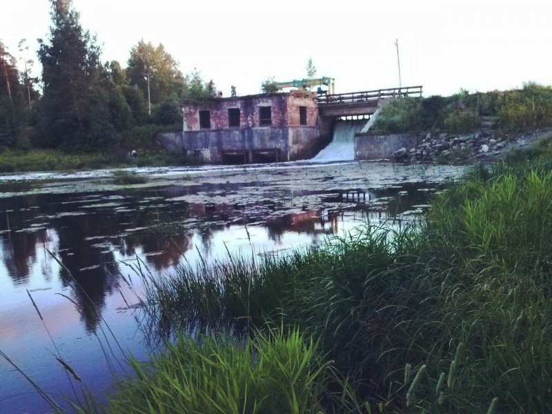 Река Странница Ленинградская область