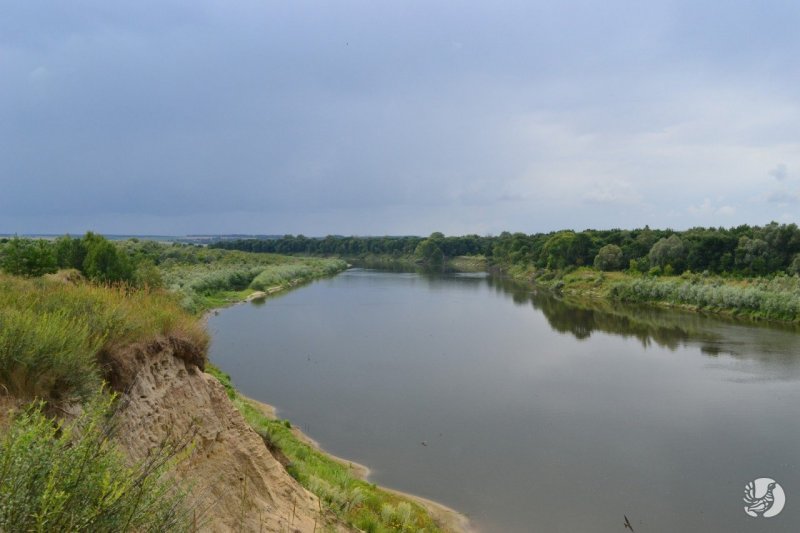 Большая река Сура Мордовии
