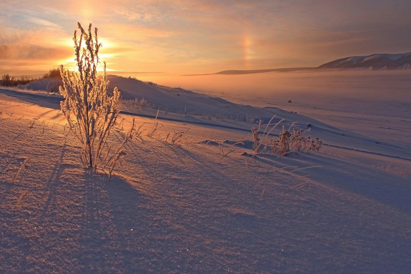 Морозное утро Арктика