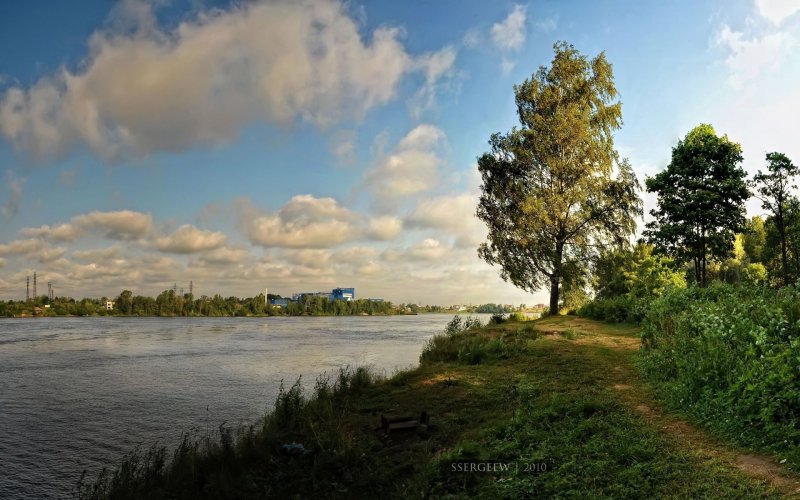 Волга река лес