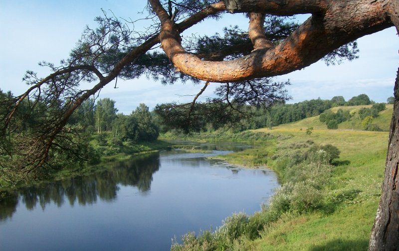 Река Угра Сосновый Бор