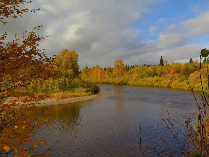 Река Волхов Золотая осень