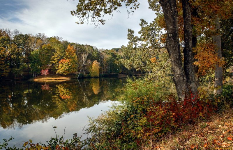 Осень река лес озеро