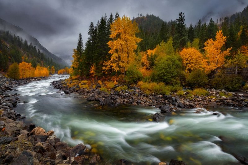 Осень в лесу горы река