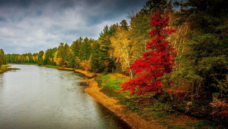 Осень Череповец река
