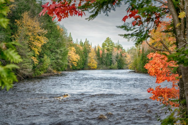 Осень лес река