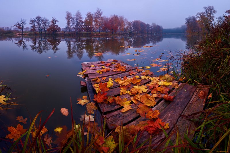 Озеро осенью