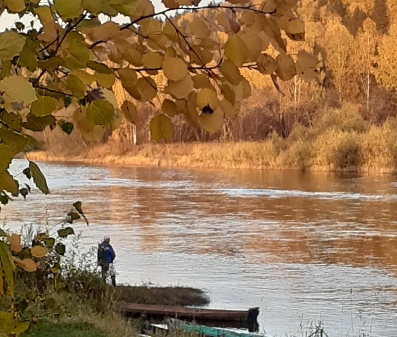 Поназырево осень река
