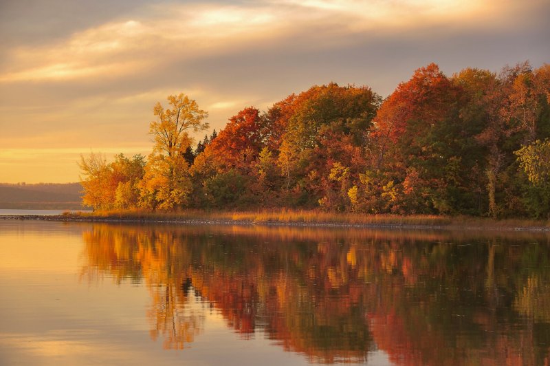 Осенний лес с озером
