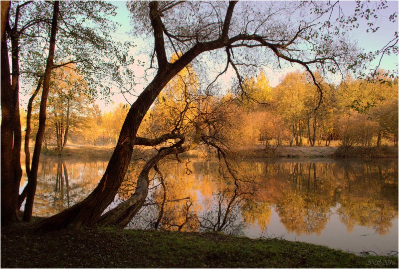 Золотая осень река Харинка