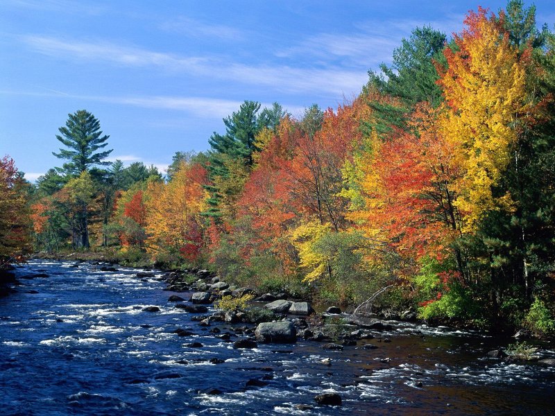Природа осень река