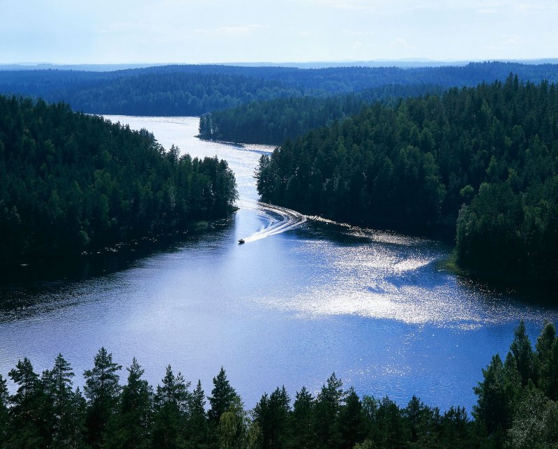 Финляндия леса и озера