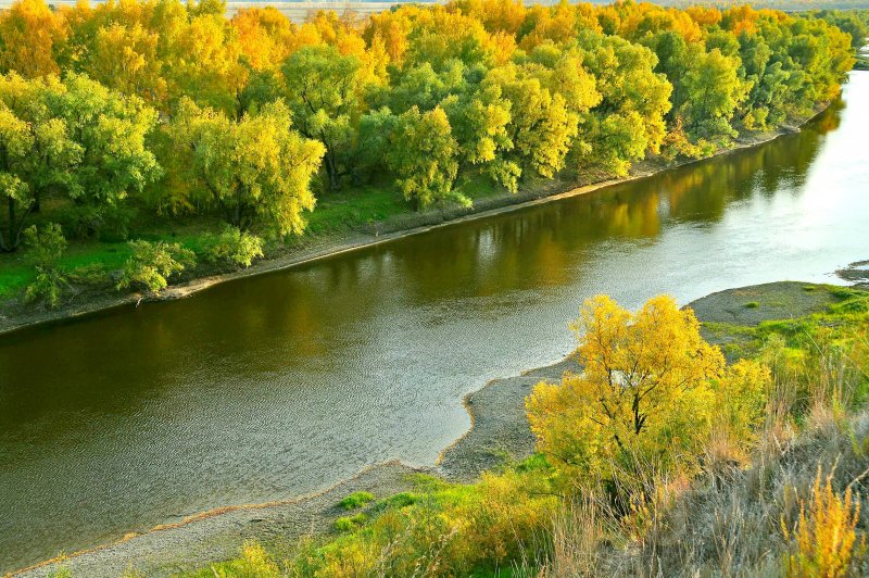 Река Омь осень