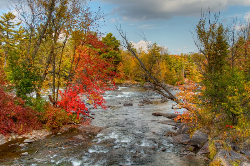 Природа осень река