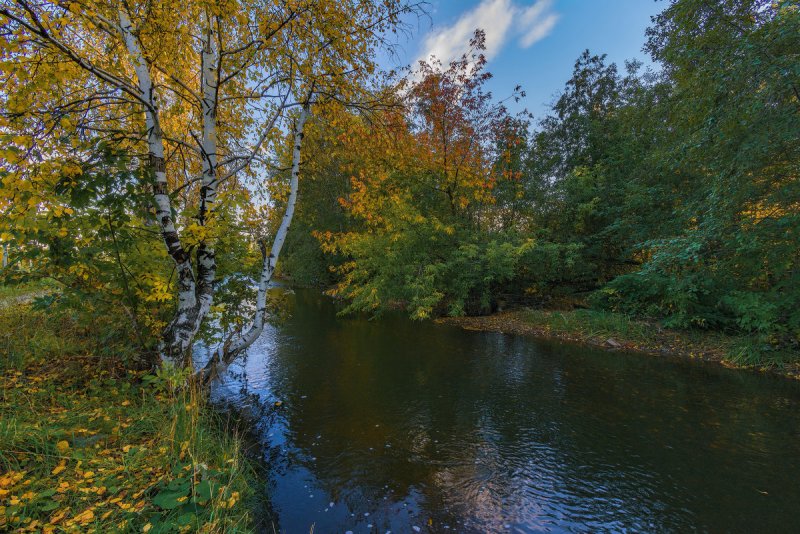 Река осенью реальные фото