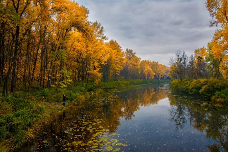 Осенний пейзаж у реки