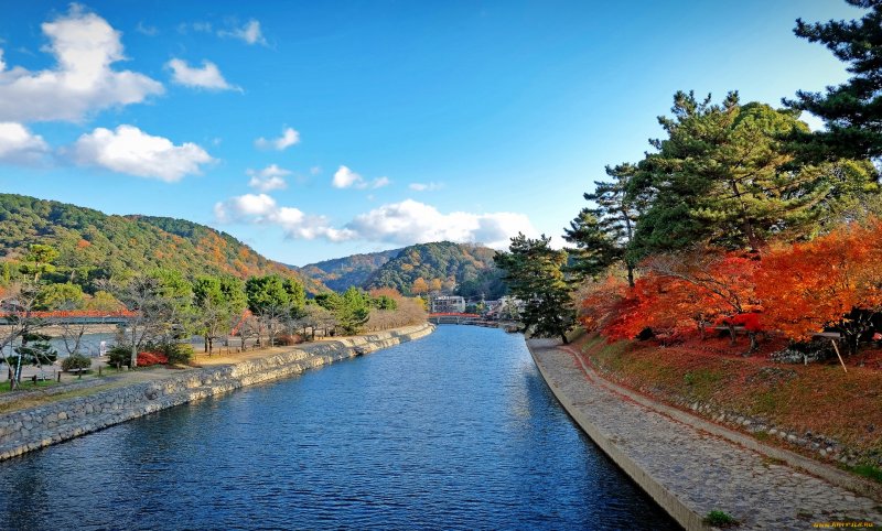 Река тонэ в Японии