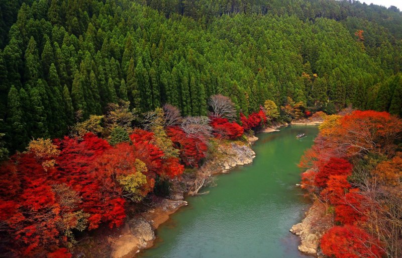 Широколиственный лес Японии