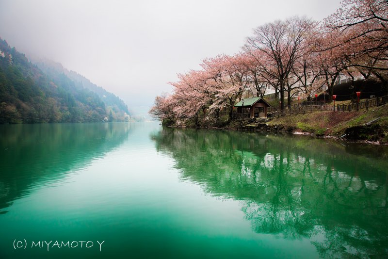 Тацукава река Япония