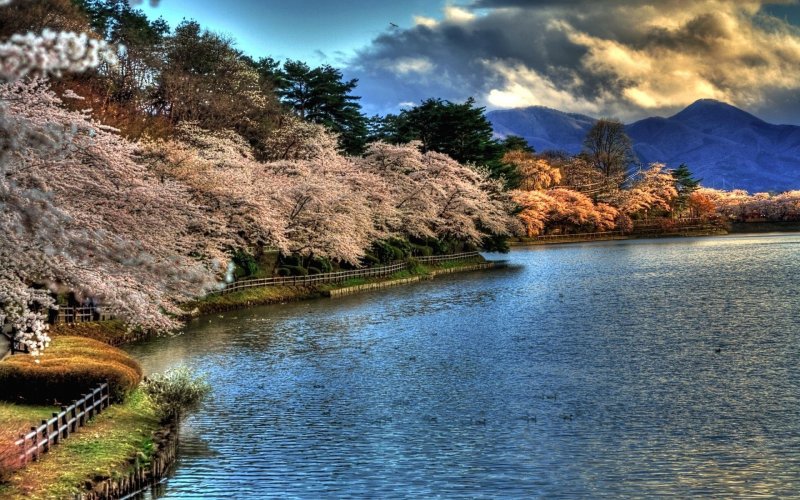 Япония пейзаж река