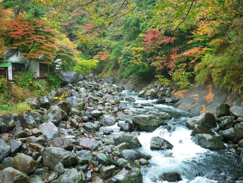 Река Гокасе Япония