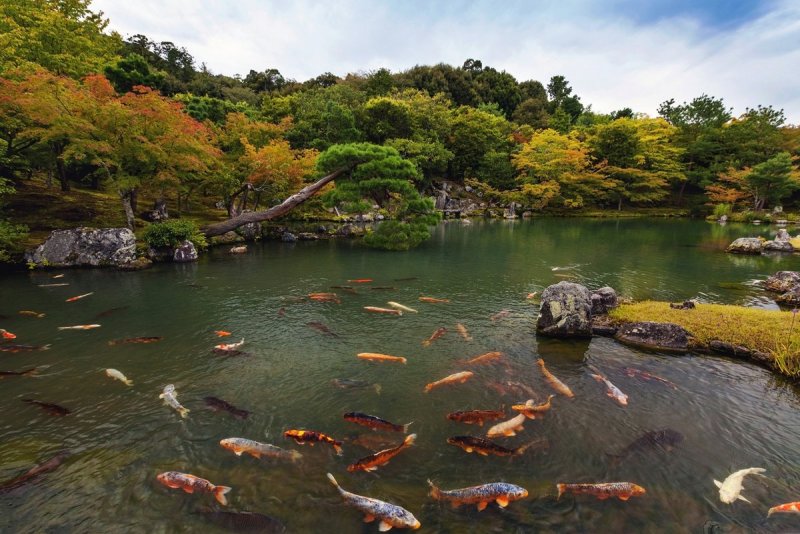 Япония река Хонсю