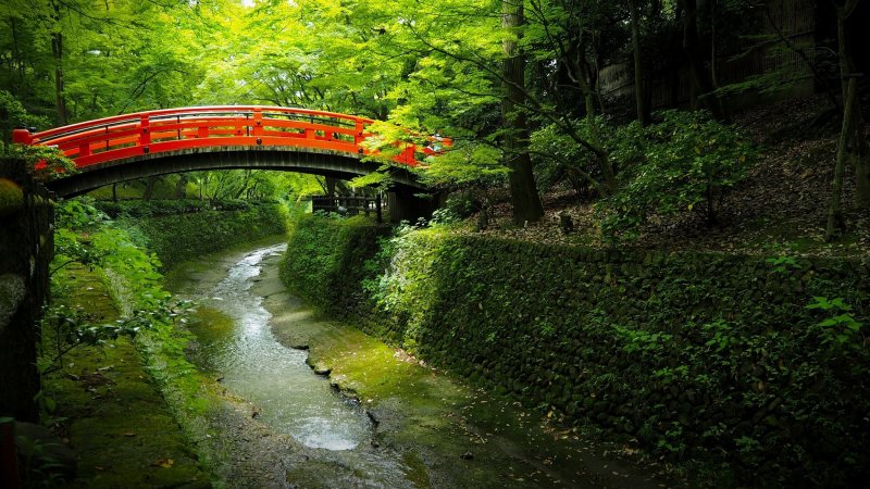 Япония речка мостик лес