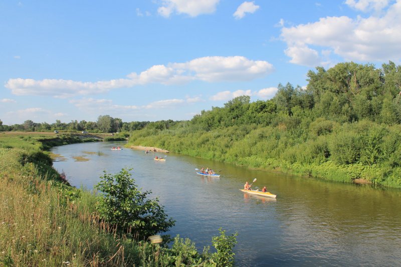 Река Медведица Саратовская область