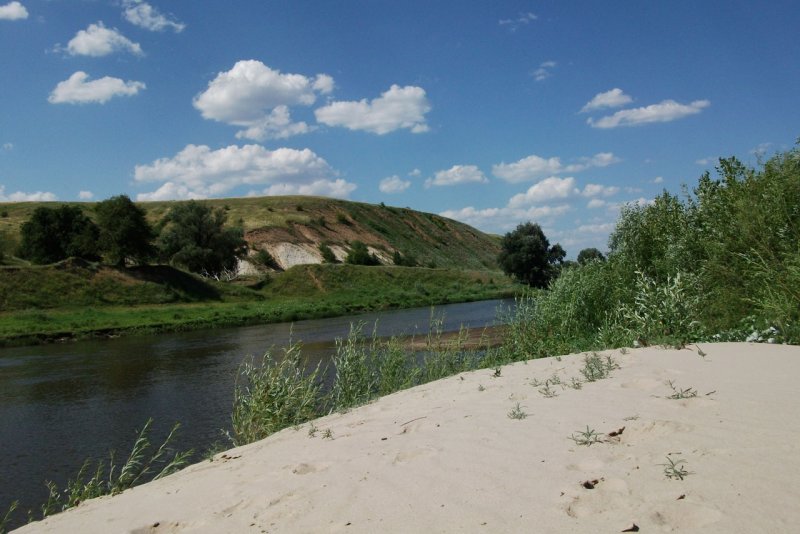 Река Медведица Саратовская Волгоградская область