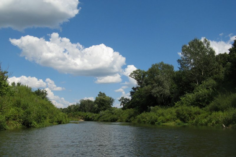 Река Медведица Саратовская